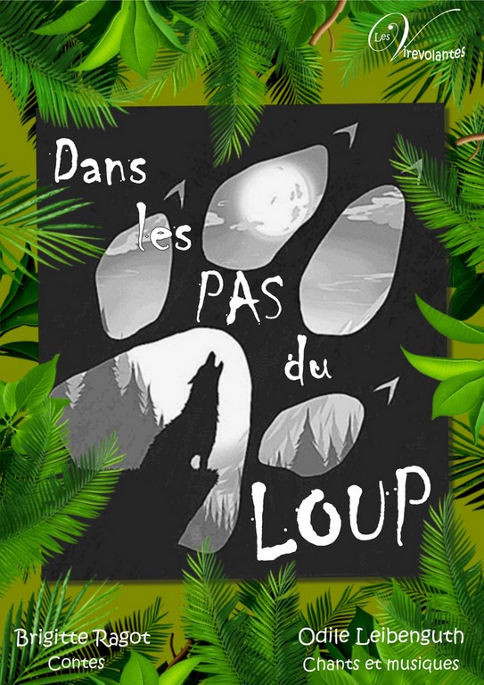 Dans les pas du loup affiche