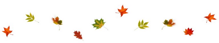 Feuilles