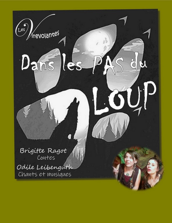 Dans les pas du loup affiche