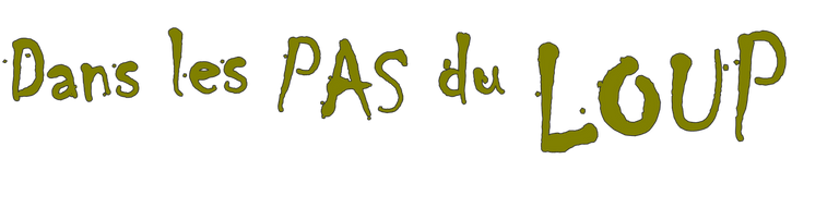 Dans les pas du loup titre
