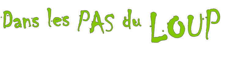 Dans les pas du loup titre