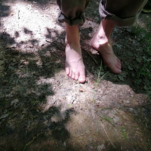 balade elfique pieds